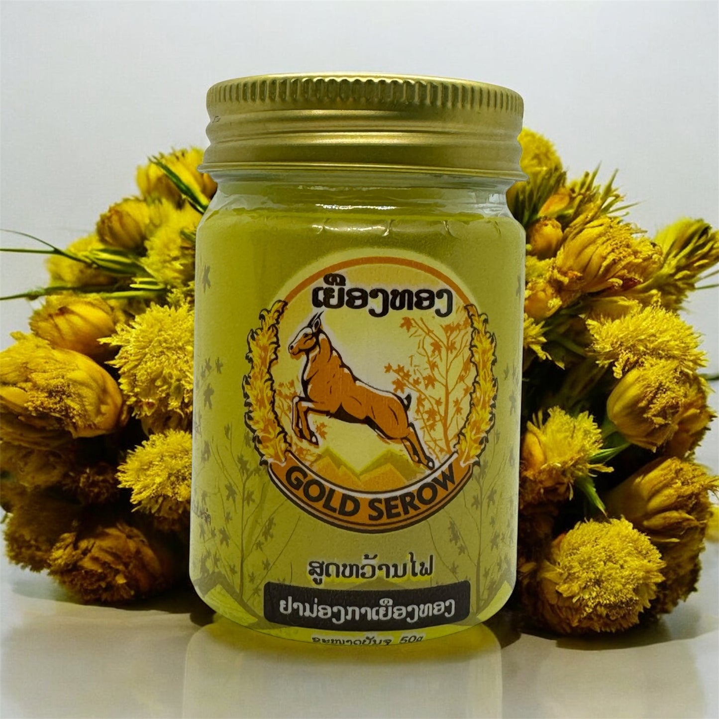Gold Serow Laos Herbal Ointment Balm 50g (Gold Rhizomes) Salve on Itchy Skin from Insect Bites and Tense Muscles