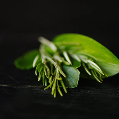 Rosemary & Biotin Shampoo Bar for Volumizing & Strengthening