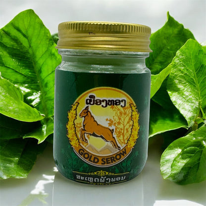 Gold Serow Laos Herbal Ointment Balm 50g (Green) Salve on Itchy Skin from Insect Bites and Tense Muscles